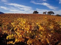 Sonoma Valley, Kalifornia, USA