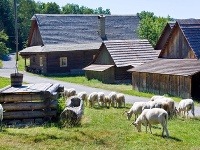 Rožnov pod Radhoštěm 