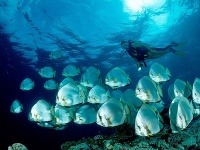 Borneo, Indonézia