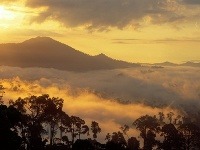 Borneo, Indonézia