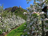Terlano, Taliansko