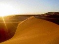 Púštne duny