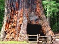 Národný park Sequoia, USA