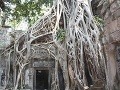 Angkor Vat, Kambodža