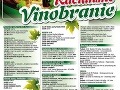 Račianske vinobranie v Bratislave