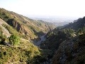 Dharamsala - údolie Kangra,