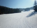 Ski Drienica