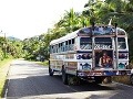 Panamská hromadná doprava -