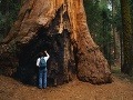 Národný park Sequoia, USA