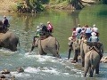Počas treku na slonoch
