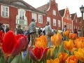 Tulpenfestival, Holandsko