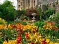 Castle Thornbury, Anglicko