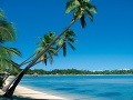 Bahamy sú raj na Zemi. Nie každý si ale pobyt v tomto raji môže dopriať.