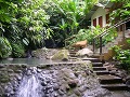 Tree Houses Hotel, Kostarika