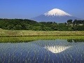 Fuji, Japonsko