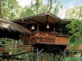 Tree House Lodge, Kostarika