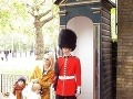 Kráľovská garda v Londýne