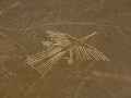 Kondor, Planina Nazca, Peru