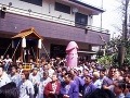 Procesia s penisom, Japonsko