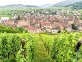 Vinice v Alsace, Francúzsko