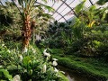 Tropická záhrada, Frankfurt, Nemecko