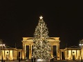 Vianočný stromček pri Brandenburskej