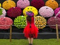 Chelsea Flower Show, Londýn,