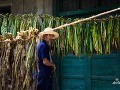 Pestovateľ tabaku, Čína