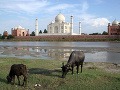 Tadž Mahal, India
