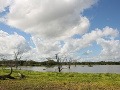 Rezervácia Selous, Tanzánia