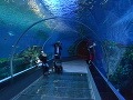 Národné dánske akvárium, Kodaň,