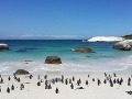 Tučniaky na Boulders Beach