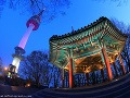 Kórejský Soul: Nad mestom