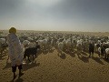 Darfúrski utečenci