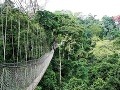 Najzaujímavejšie lanové mosty sveta