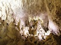 Jaskyňa svietiacich červov Waitomo,
