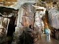 Jaskyňa Postojna Jama, Slovinsko
