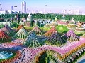 Foto: Dubai Miracle Garden