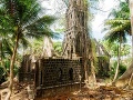 Rossov ostrov, Andamany a