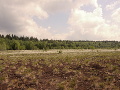 Soumarské rašelinisko, Česká republika