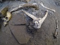 Pri vykopávkach v Pompejach