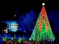 Vianočný strom pred Bielym