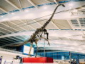 Letisko Heathrow kontroluje dinosaurus