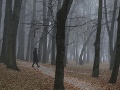 Žena kráča v parku