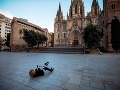 Katedrála v španielskej Barcelone