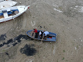 Morský sliz v Turecku