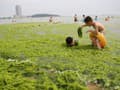 Obľúbenú čínsku pláž zaplavili