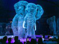 Hologram zvierat v cirkuse