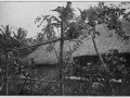 Gauguinov dom na Tahitoch