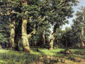 Dubový háj (1887)